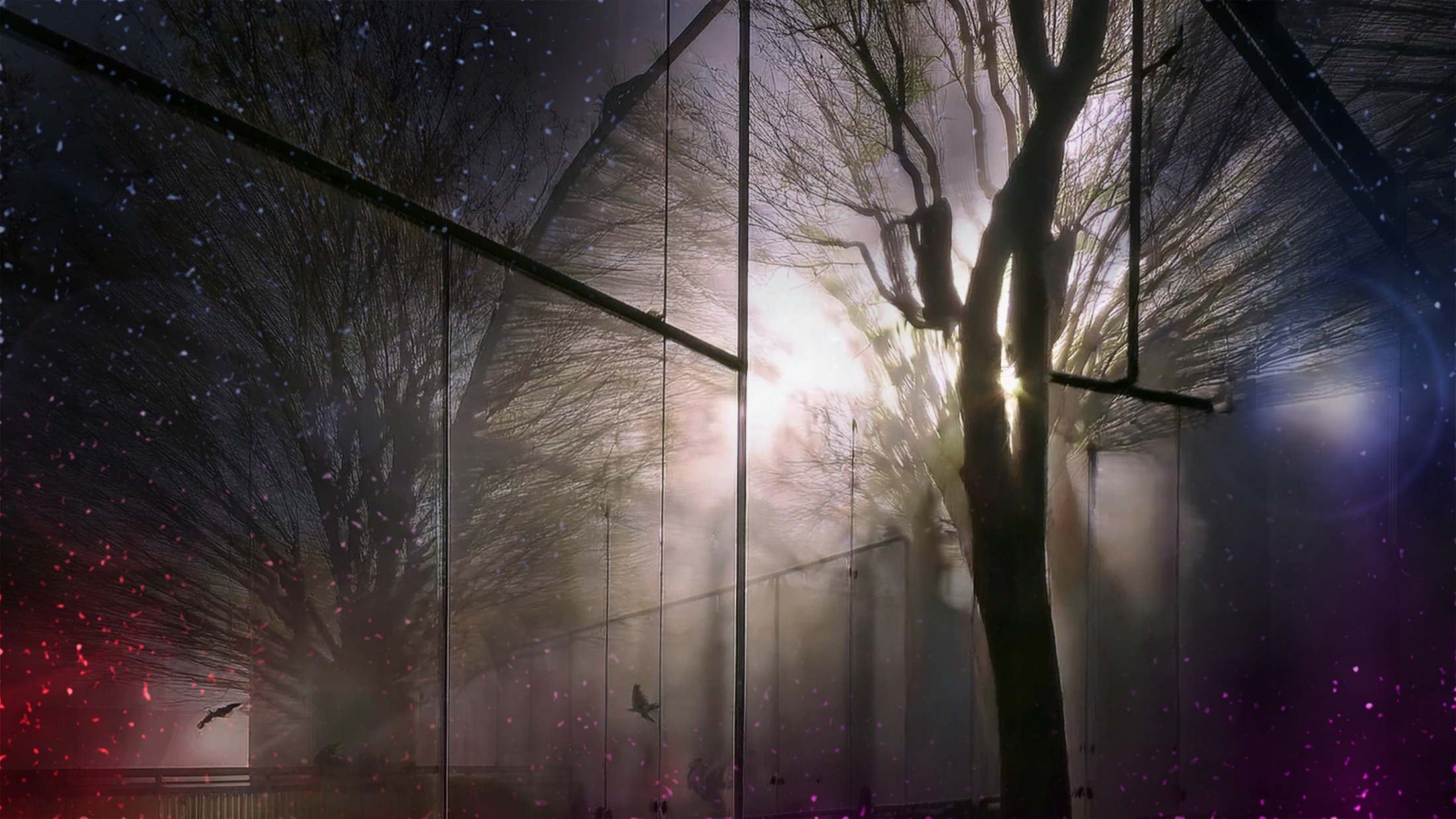 The Forest is Full of Romance visual