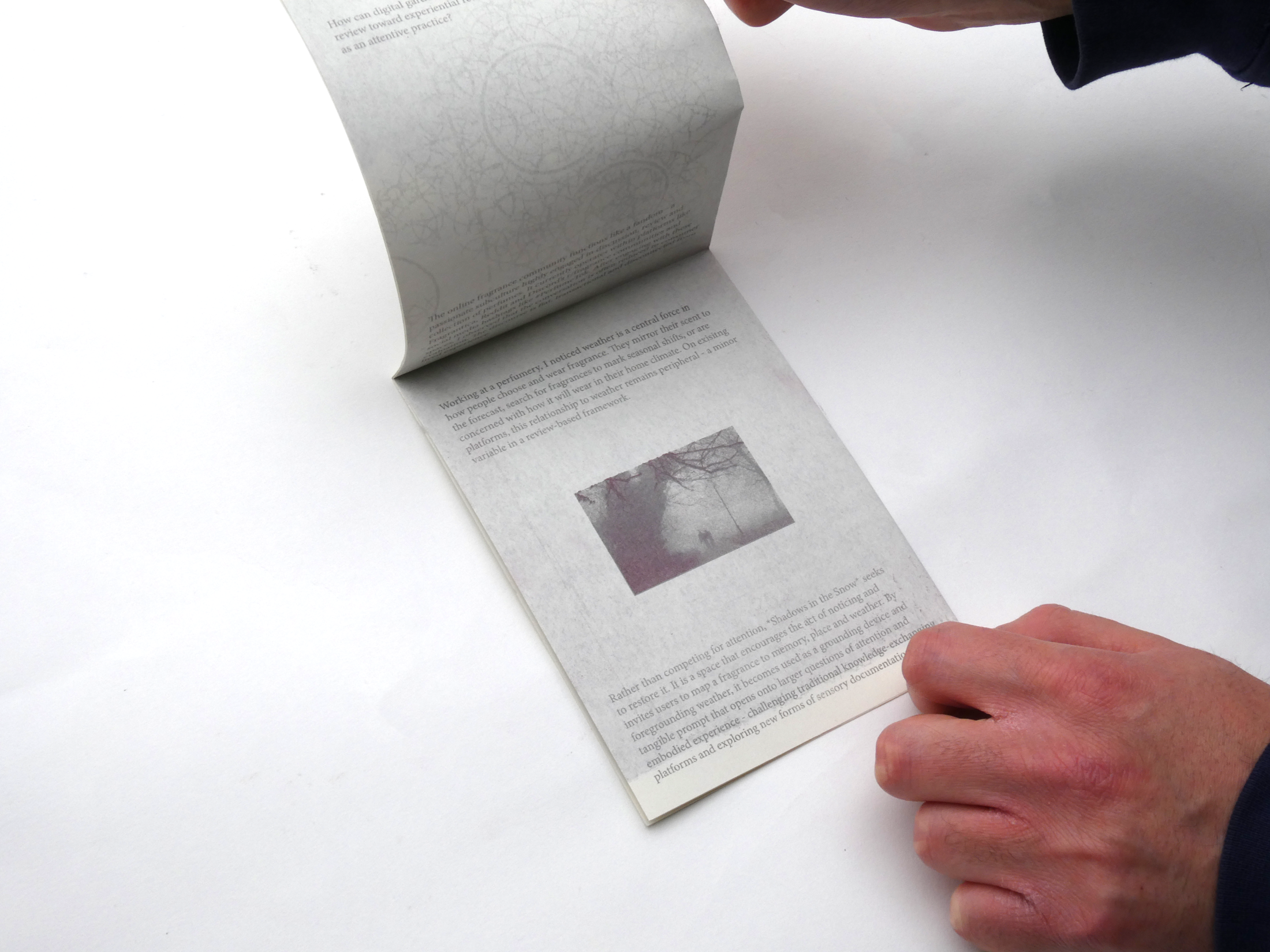 Shadows project statement riso 2