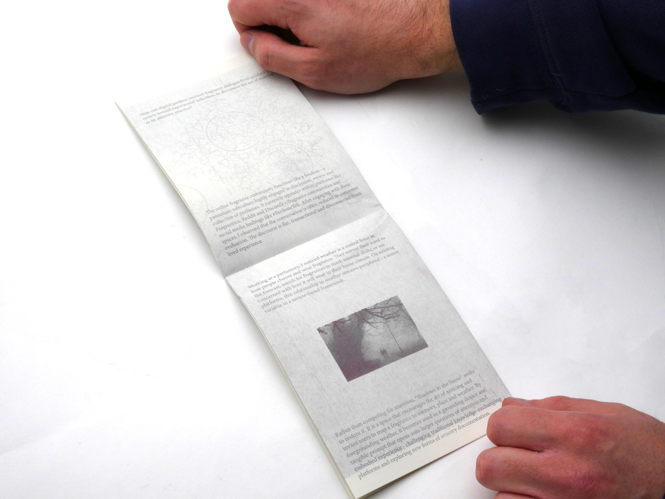 Shadows project statement riso 3