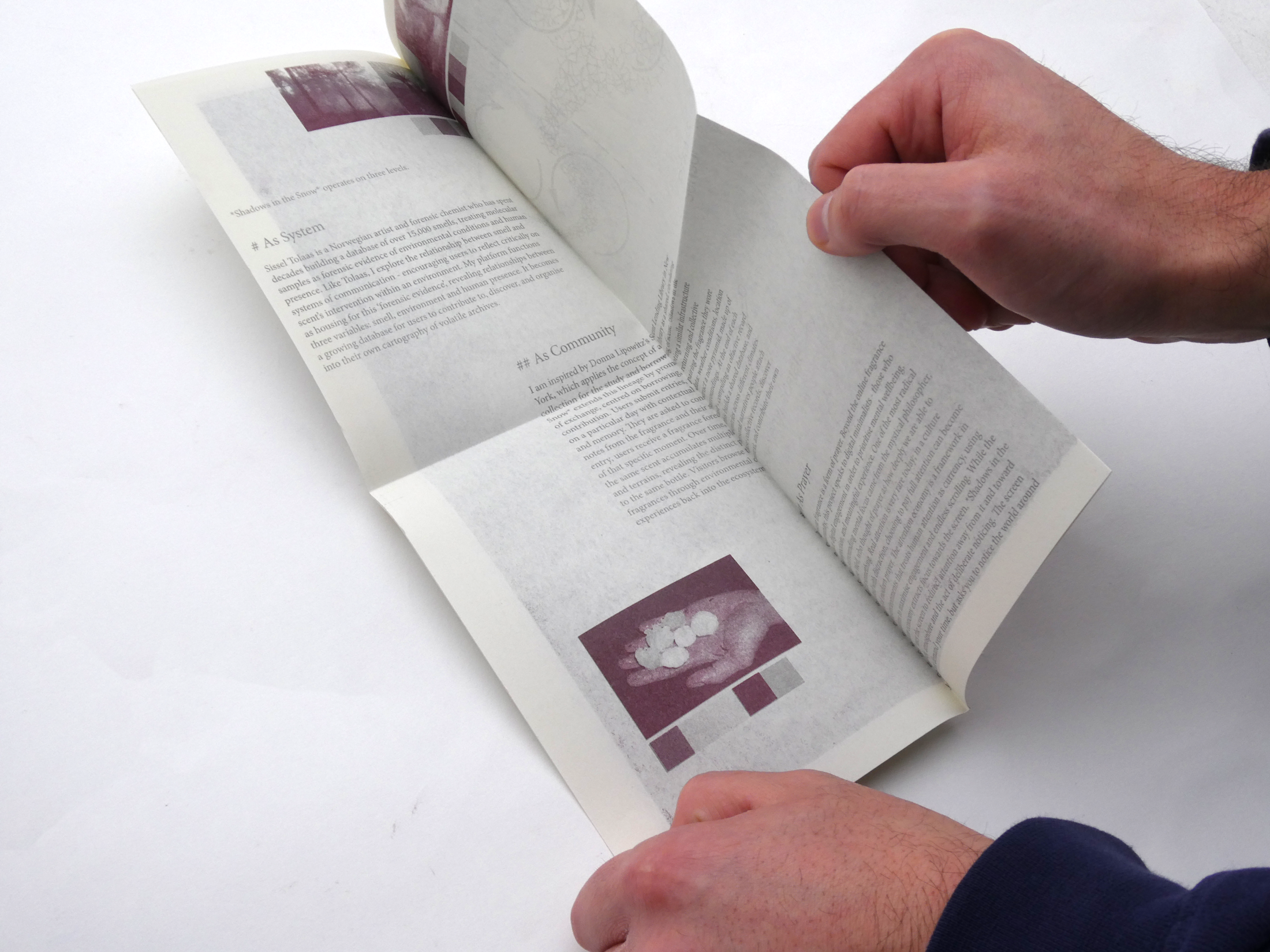 Shadows project statement riso 4