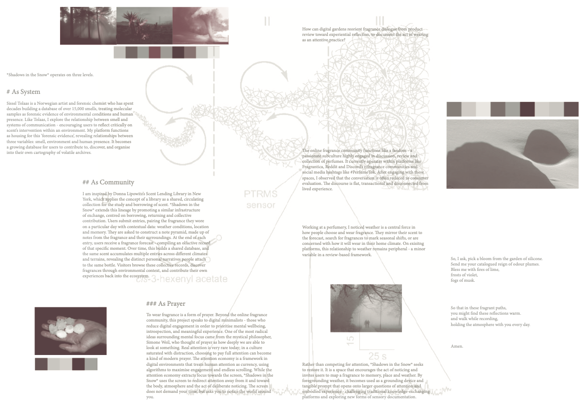 Shadows project statement visual 1