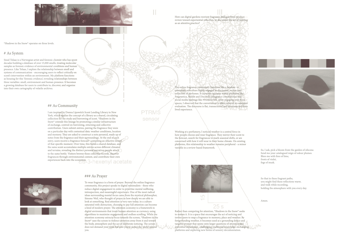 Shadows project statement cover