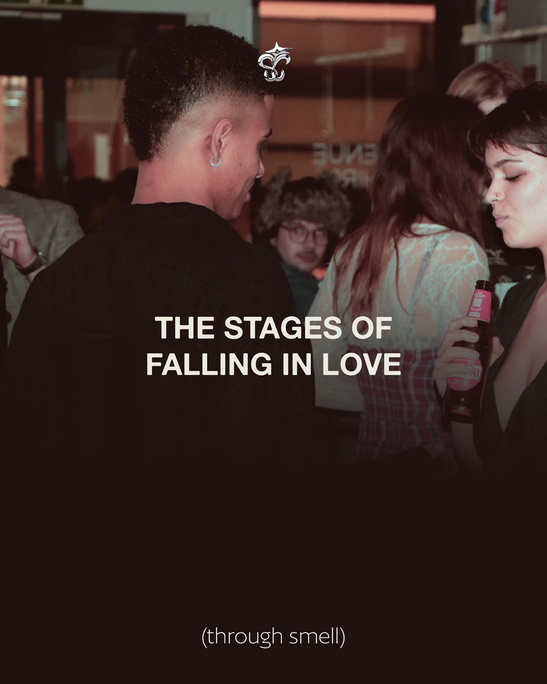 Scent of Connection social media: stages of falling in love